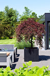 Block Fiberstone Schwarz