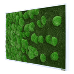 Moosbild Verlauf Wald- und Ballenmoos 100x60 cm